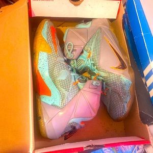 Lebron 12s
